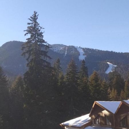 Апартамент С-59 В Апарт-Хотел Боровец Гардънс Borovets Exterior foto